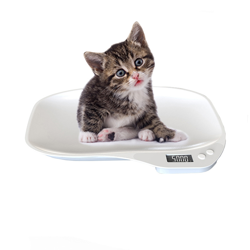 Nutrition & Fitness Hub Photos - New 15kg Pet Weighing Scale Parcel